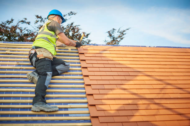 Best Roof Ventilation Installation  in Wellsville, MO